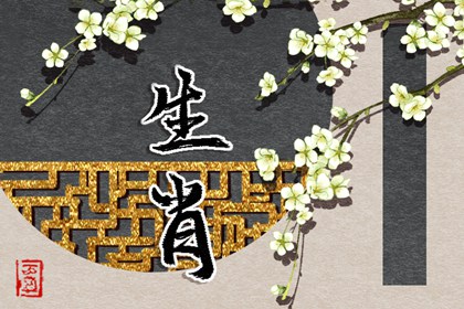 生辰八字_八字骨相算命_八字无刑冲合害_排盘查询_真言八字_玄奥八字